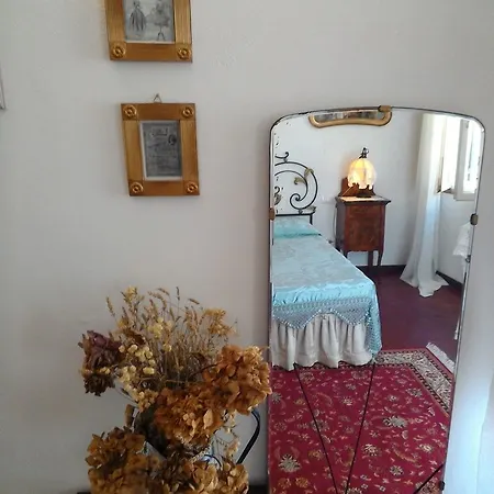 فندق مبيت وإفطار Casa Carducci أوفيدا