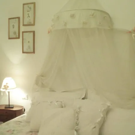 Casa Carducci Отель типа 